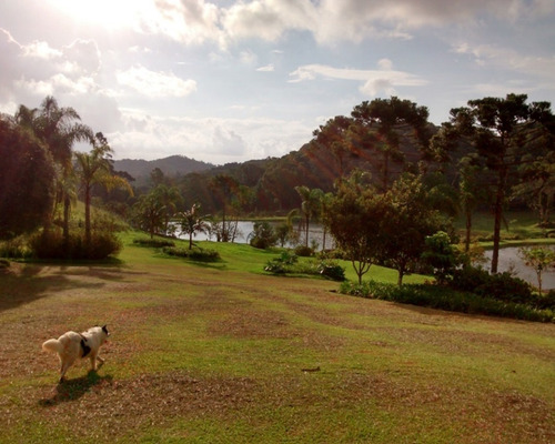 Imagem 30 de 30 de Excelente Sítio Rico Em Água Á Venda Em Juquitiba. - 194 - 32982689