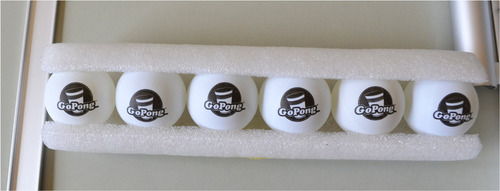 GoPong Mesa Plegable de Ping Pong (Negra)