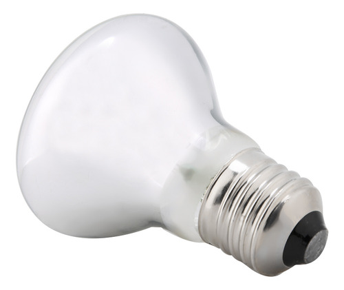 Lâmpada De Calor Noturno Reptile 220-230v Para Pássaro, Cobr