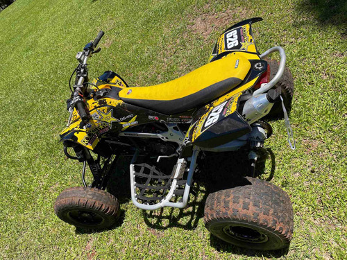 Canam Ds450