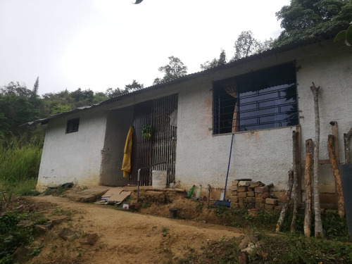 Se Vende Finca En Tibacuy