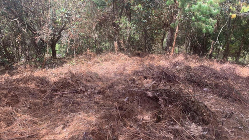 Vendo Lote En Guarne Vereda La Clarita