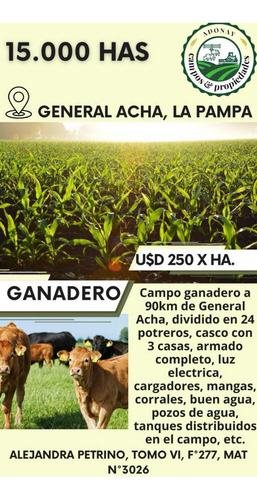 Oportunidad! En Venta Campo Ganadero