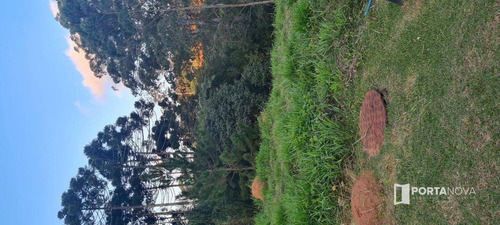 Imagem 6 de 30 de Terreno À Venda, 502 M² Por R$ 553.000,00 - Moinho Velho - Cotia/sp - Te0134