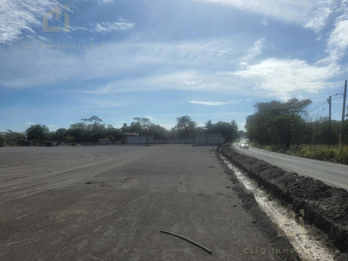 Terreno De 1.3 Hectareas En Renta, Se Encuetra A Pie De Carretera