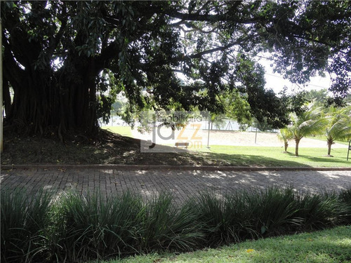Imagem 11 de 30 de Terreno, Alphaville Campinas. - Te1446
