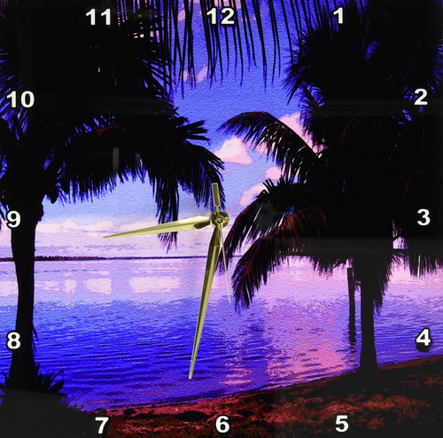 3drose Dpp__2 Impresión De Plum Palms Matlacha Florida Reloj