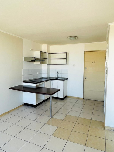 Depto 1 Dormitorio 1 Baño Con Bodega Zenteno 1482