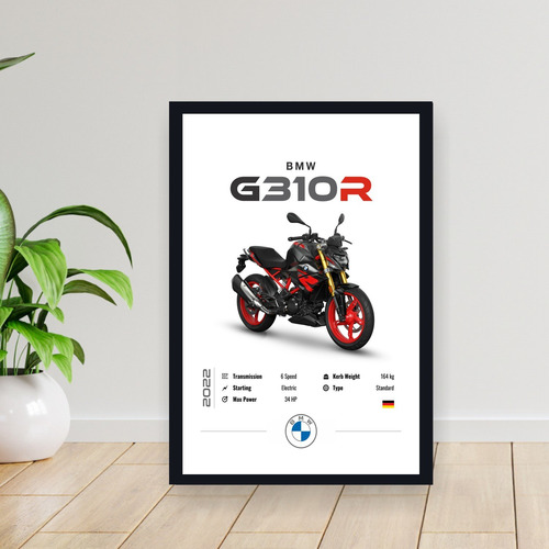 Cuadro 30x40 Moto Bmw G310r 2022