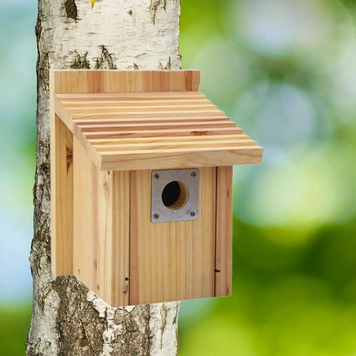Caja De Anidación De Pájaros De La Casa De Pájaros Fuera