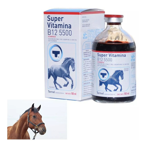 Caballo Vitamina B12 5500 Tornel 