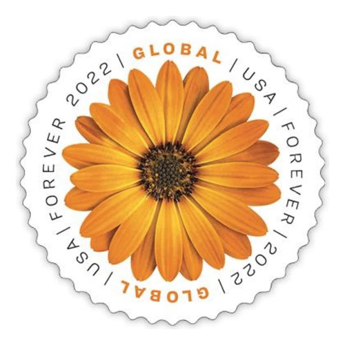 Usps African Daisy 2022 (hoja De 10) International Mail Glob