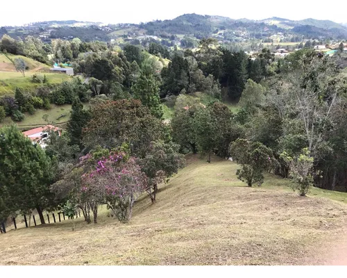 3 Lotes Alto De Las Palmas (desde 3.100m/4.200m Y 4.500m)