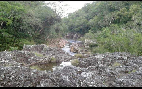 Chacra 100 Hectáreas