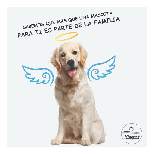 Servicio De Cremación De Mascotas. Sleepet