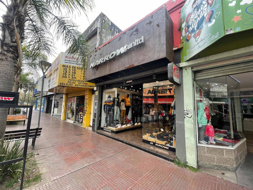Imagen 5 de 15 de Venta 4 Locales Constitución - Frente 22m