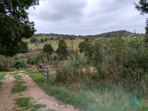 Imagen 18 de 30 de Vendo Excelente Chacra De 39 Hectáreas Para Granja Turística O Tambo, Aigua, Punta Del Este - Aiguá Aiguá