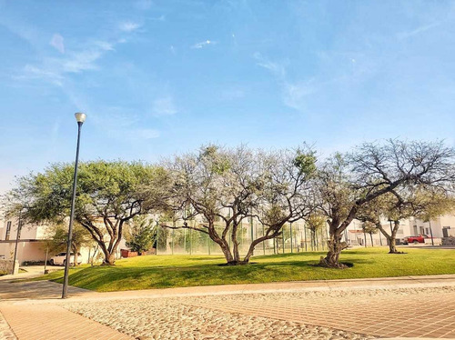Imagen 13 de 14 de Terreno En Venta Privada Lomas De La Vista