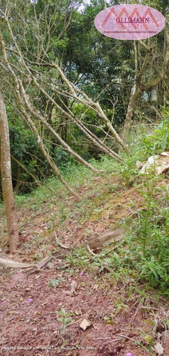 Chácara Para Venda Em Ribeirão Pires, Pilar Velho - 000333333_2-1163332
