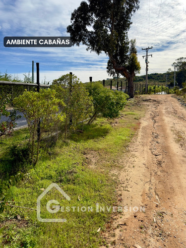 Arriendo Casa Tiny House Algarrobo Norte Mirasol