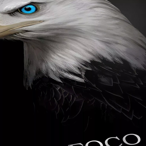Cuadro Decorativo Mural Triptico Motivacion Animal 126x60 Cm