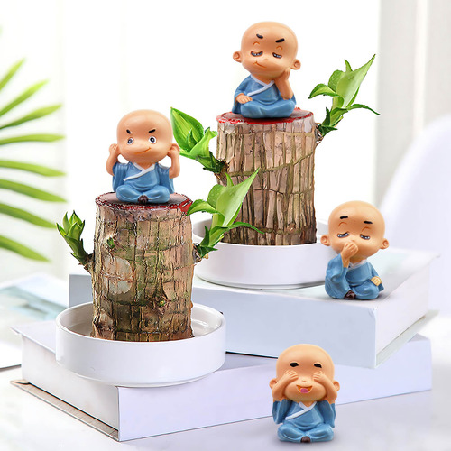 Decoración De Plantas En Maceta En Forma De S Para Decoració