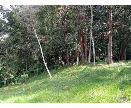 Lote En Venta Sector Llanogrande- Parcelación Vía Don Diego