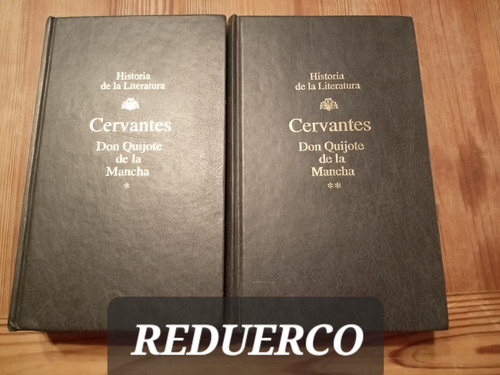 Don Quijote De La Mancha Cervantes Historia De La Literatura (Usado)