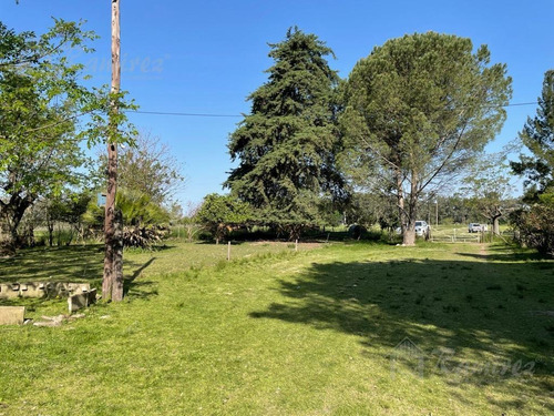 Imagen 5 de 15 de Campo En Venta - General Rodríguez