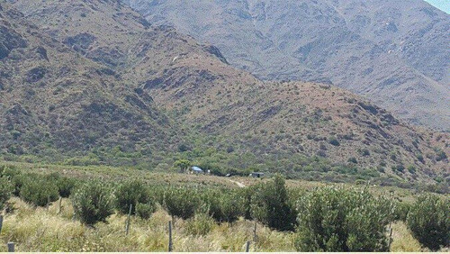 Imagen 1 de 10 de Fracción En Venta, Ideal Para Desarrollo De Olivares Y De Vid, San Luis
