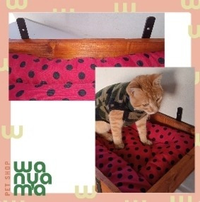 Imagen 3 de 5 de Cama Estante Para Gatos Exterior
