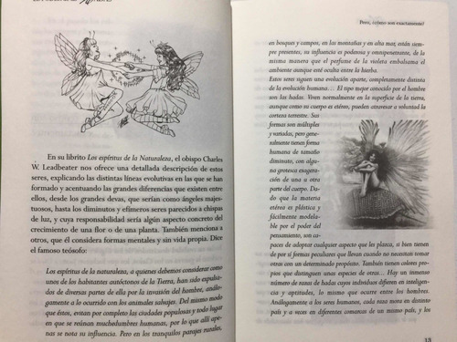 El Poder De Las Hadas. Mitología, Enigmas Y Misterios (Reacondicionado)