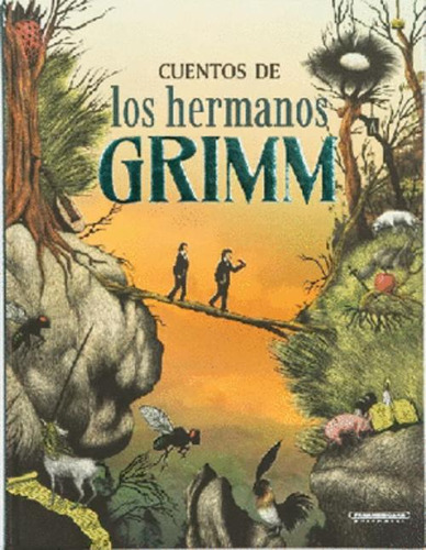 Libro Cuentos De Los Hermanos Grimm