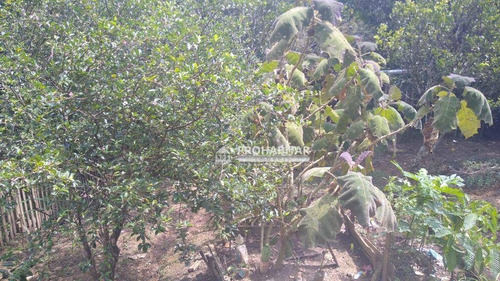 Vendo Excelente Chácara No Cipó Região Do Embú-guaçu Com 4 Dormitórios 3 Banheiros, Cozinha Grande, Sala Espaçosa, Tem Uma Varanda Com Churrasqueira - Ch0167