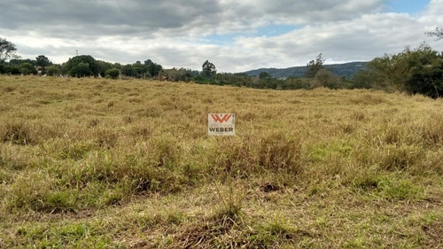 Sítio Em Iperozinho. 4 Alqueires,casa Linda Com Tanque De Pesca E Rio - 498