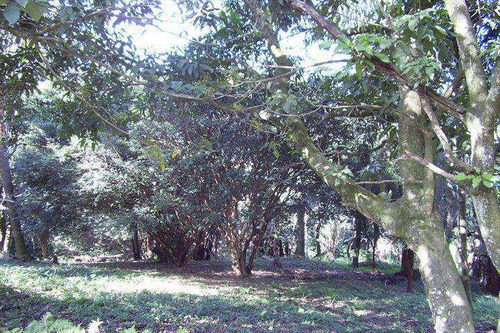 Imagem 5 de 8 de Terreno, Recanto Sombra Do Ipê, Santana De Parnaíba - R$ 980 Mil, Cod: 66900 - V66900