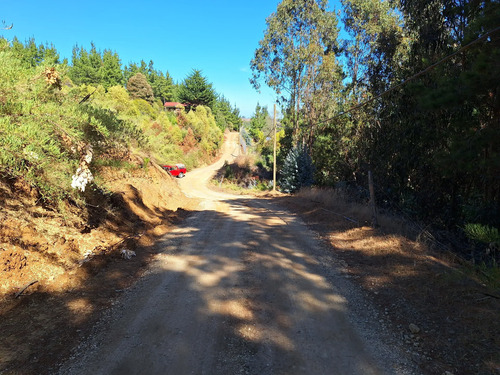Se Vende Terreno De 5000 M2 En Condominio, Cáhuil, Pichilemu
