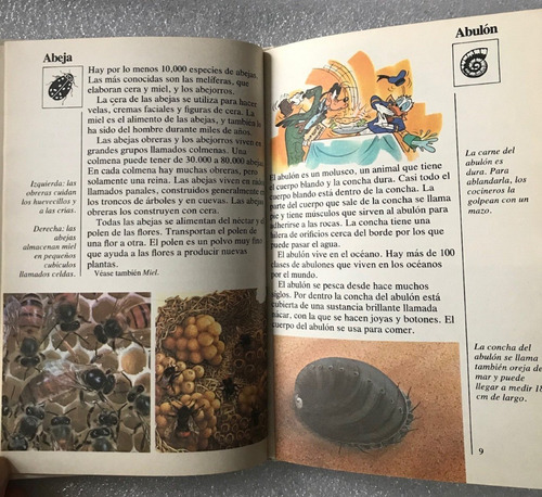 Disney Presenta Mi Primera Enciclopedia 24 Tomos