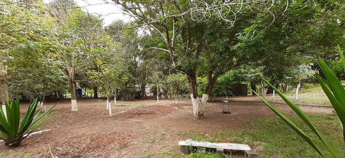 Imagem 19 de 30 de Chácara Em Guararema Excelente Padrão Com 04 Dormitórios, Sendo 03 Suítes, Piscina, Churrasqueira, Pomar, Horta, Área Verde, Vale A Pena Conferir!! - Sp - Ch0001_asi