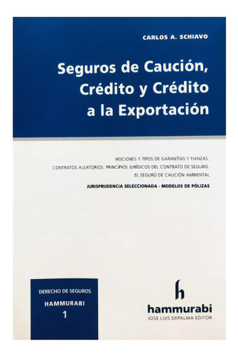 Seguros De Caución, Crédito Y Crédito A La Exportación, De Schiavo. Serie 1, Vol. 1. Editorial Hammurabi, Tapa Blanda, Edición 2023 En Español, 2023