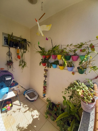 Imagem 4 de 16 de Apartamento - Ap00048 - 69207761