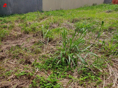 Imagem 2 de 4 de Lote - Vivian Parque - Ref: 1610 - V-1610