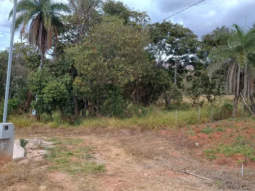 Lote De 1000 M2