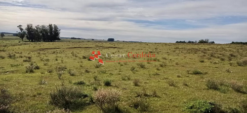 Venta - Chacra En Zona De Bodegas Garzón