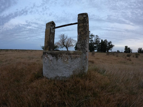 Imagen 5 de 8 de Campo Agrícola De 16 Hás A 60min De Montevideo En Tala (canelones)
