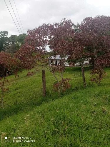 Vendo Hermosa Finca En Ibague