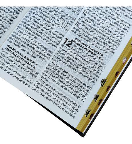 Biblia Viva Letra Extra Grande Capa Dura Louvor Com Indice Lateral