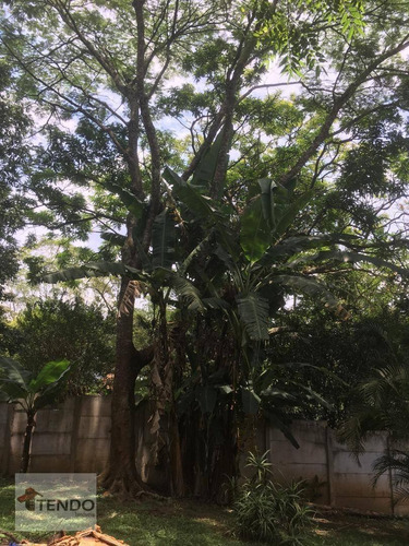 Chácara 1100 M² - Venda - 4 Dormitórios - 1 Suíte - Quarta Divisão - Ribeirão Pires/sp - Ch0068