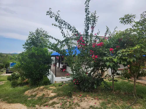 Finca En Venta En Vereda Chorquina. Cod V12649