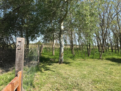 Imagen 25 de 25 de Venta Chacra San Miguel Del Monte